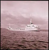 Borea
Kemikalietanker byggd på Kalmar varv.