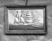 Svea. Capt. A. Fredriksson 1898.
Utställning Möre skans 1938. Akvarell.

Skonertskepp. Enligt skeppslistan 1895 fanns i Bergkvara en tremastare, byggd 1858 i Rostock, förd av kapten Fredriksson. Enligt uppgift av kapten A. Edvall var Svea byggd vid Grämmekula, Bergkvara (nybygge?). Förlist 1903 i Engelska kanalen nära...natten mellan 26-27 oktober 1905, överseglad av ångaren Seine av Dunkerque.