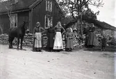 Familjeporträtt från Stenåsa by 1904. Kvinnor och barn fotograferas med den lilla ölandshästen. På en annan bild av samma familj finns även männen med liksom det stora varmblodet, spänt framför en åkvagn.