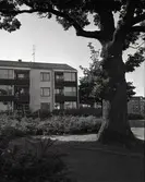 Bostadsområde, Oxhagen.