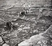 Från utgrävningarna av Eketorps borg.