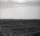 Från utgrävningarna av Eketorps borg.