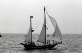 Segelfartyg, Tall Ships race, Karlskrona 1980.