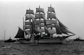 Sea Cloud, en privatägd fyrmastad bark, vid Tall Ships race, Karlskrona 1980

The Tall Ships' Races är en internationell havskappsegling för segelfartyg och stora segelbåtar som har arrangerats sedan 1956. Kappseglingen arrangeras av Sail Training International.

I tävlingen deltar skolfartyg, scoutbåtar och privata skutor och båtar från många olika länder; tävlingen i sig är inte det viktiga utan ungdomsarbetet. Ett av prisen är för gott kamratskap. Förutsättning för att få delta i seglingen är att minst 50 % av besättningen består av ungdomar mellan 15 och 25 år.

Mellan 1973 och 2003 var tävlingens officiella namn The Cutty Sark Tall Ships' Races, då huvudsponsorn var Cutty Sark whisky. Från år 2004 var huvudsponsorn Antwerpen (hamnen, staden och provinsen), och 2010-2014 är Szczecin huvudsponsor.

(Uppgifterna är hämtade från Wikipedia)