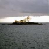 Grimskär är en mindre holme i Kalmarsund utanför Kalmar. Tidigare kallades ön Stegelholmen och var sannolikt en avrättningsplats där brottslingar steglades, det vill säga fästes på ett hjul på en påle, i avskräckande syfte. Namnet Grimskär lär komma från ett inseglinsgsmärke i form av ett grinande huvud på en påle.

På 1560-talet anlades på Grimskär en skans, vilken i 1611 års krig under överste Lars Bubbs befäl verksamt hindrade danska flottans rörelser. Skansen byggdes om 1622-23 och förstärktes ytterligare år 1688 samt ingick sedermera som en viktig del i de storartade förslag till Kalmars befästande, som uppgjordes under senare hälften av 1700-talet.

På holmen byggdes 1837 en fyr. Fyren byggdes om och förbättrades 1865 och 1879 till en kombinerad fyr och lotsutkik. 1931 lades lotsverksamheten ner och 1940 ersattes fyren av en ny fyr i Kalmarsund. Ett år senare revs det gamla fyrtornet.

1943 anlades en underjordisk minstation under skansen. Stationen hade 11 mans besättning som samsades på 50 m². Minorna var utlagda i Kalmarsund och färjan mellan Kalmar och Färjestaden passerade dagligen, besättningen ovetandes om denna minering, tills den sista färjan avgick den 30 september 1972, samma dag som Ölandsbron invigdes. Bernt Ohlson var chef för minstationen mellan 1965 och 1985. Minstationen avvecklades 1988.

(Uppgifterna är hämtade från Wikipedia)