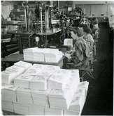 AB Papyrus. Kuvertavdelningen. 4 okända kvinnor.