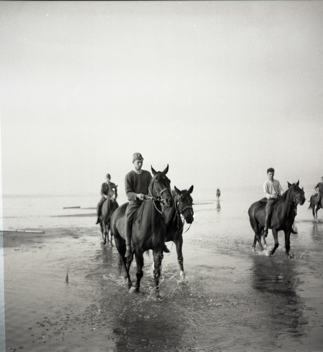 Bo Sallmander, Conscripts on the beach with their horses. Norrland dragon regiment K4, Umeå, 1955-1956.