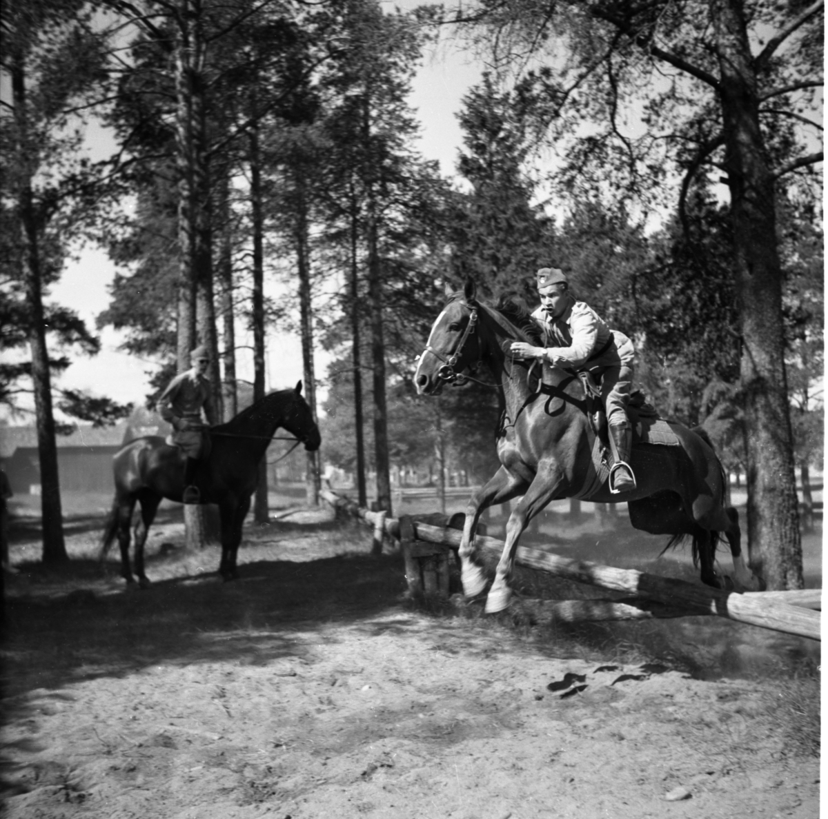 Bo Sallmander, På hinderbana. Värnplikt vid Norrlands dragonregemente K4, Umeå, 1955-1956.