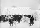 Tyra, Josef och Sara ute i snön, Östhammar, Uppland 1909
