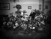 Överlärare Bokander 1938, 13065.