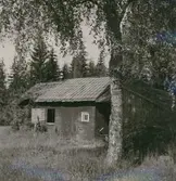 Ett ödetorp i skogen vid Algutsboda.