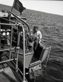 Dykare på jakt efter ett störtat flygplan.