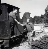 TV-Elvis skakar hand, på uppdrag av Hylands Hörna.