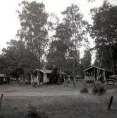 Vy från Saxnäs 30/8 1961.