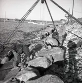 Reportageresan Borgholm - Alböke - Sandvik 12/2 1957.