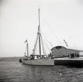 Fiskare hemma från Ryssland.