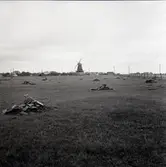 Vy från Sandvik. I bakgrunden syns Sandviks kvarn som är den största av holländsk typ på Öland.