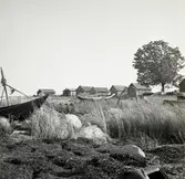 Södra Greda fiskeläge 23/9 1960.