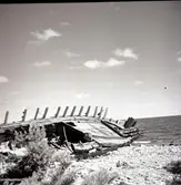 Landskapsmotiv från 