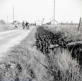 Bärgningar vid Gräsgård. Delar av vraken efter de tre tyska örlogsfartyg som gick in i en svensk mnspärr och sjönk 9/7 1941 bärgas.