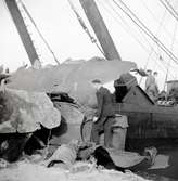 Bärgningar vid Gräsgård. Delar av vraken efter de tre tyska örlogsfartyg som gick in i en svensk mnspärr och sjönk 9/7 1941 bärgas.