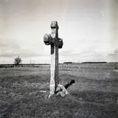 Stenkorset vid S:ta Birgittas kapell, tre meter hög, två meter bred över korsarmarna, vilka är klövbladsformiga.