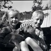 Barn och en hund som är i närheten av en sjöstuga.