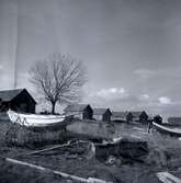Södra Greda fiskeläge, fredag 28/10 1960.