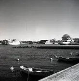 Oljehamnen i Färjestaden, oktober 1957.