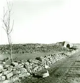 Riksantikvarieämbetets vykort 163, Gråborg.