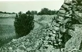 Muren runt Gråborg.
