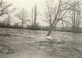 Den kraftiga vårfloden vid Ljungbyholm och Hossmo våren 1929.