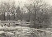 Den kraftiga vårfloden vid Ljungbyholm och Hossmo våren 1929.