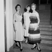 Mannekänguppvisning.
23 september 1955.