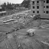 Baronbackarna.
24 september 1955.