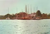 Båtar i Pataholms hamn. Bilden är rastrerad.