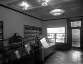 Bildserie tagen hos Hugo Nilssons konditori på Tingvallagatan 3 år 1931.