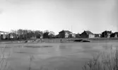 Villor vid Bjurbäcksgatan på Sundsta ca år 1950.