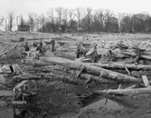 Upprensning på älvbotten innan vattnet släpps på efter bygget av Tingvallabron. I bakgrunden Sundsta herrgård. Bilden tagen 3/7 1935.
