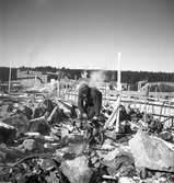 Bildserie tagen 1947 som visar mark- och grundarbeten inför starten av byggandet av etapp 2 av kooperativa förbundets Svenska Rayon-anläggning i Vålberg. Grumsföretaget Byggnads AB Nordolf antogs som entreprenör för arbetet.