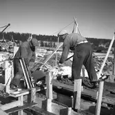 Bildserie tagen 1947 som visar mark- och grundarbeten inför starten av byggandet av etapp 2 av kooperativa förbundets Svenska Rayon-anläggning i Vålberg. Grumsföretaget Byggnads AB Nordolf antogs som entreprenör för arbetet.