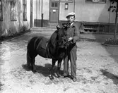 Text på negativkuvertet: Alf Ehn med ponny år 1936.