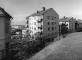 Serie med Karlstadbilder tagna under första halvan av 1960-talet. Stagnellsgatan på Herrhagen.