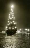 1937-års julgran står ensam utan vinterstämning.