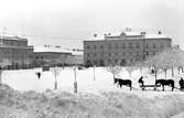 Snösvängen vid torget för ett hundratal år sedan.