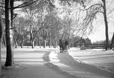 Bild från jordbruksfastigheten på Borgmästarholmen tagen år 1905.