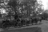 Bildsvit från det historiska festtåget, ett inslag i Värmlandsutställningen år 1929.