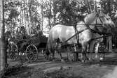 Bildsvit från det historiska festtåget, ett inslag i Värmlandsutställningen år 1929.