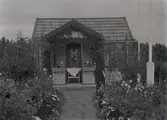 En stuga vid Kalmar södra koloniområde, fotograferad omkring 1930. Kalmar södra koloniförening grundades 1917 och har idag 105 kolonilotter. Området ligger strax söder om länssjukhuset i Kalmar med huvudingång från Stensbergsvägen.
