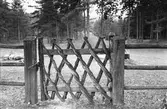Storvik, stängsel med grind. Bro sommarfäbod, nära Storvik.
